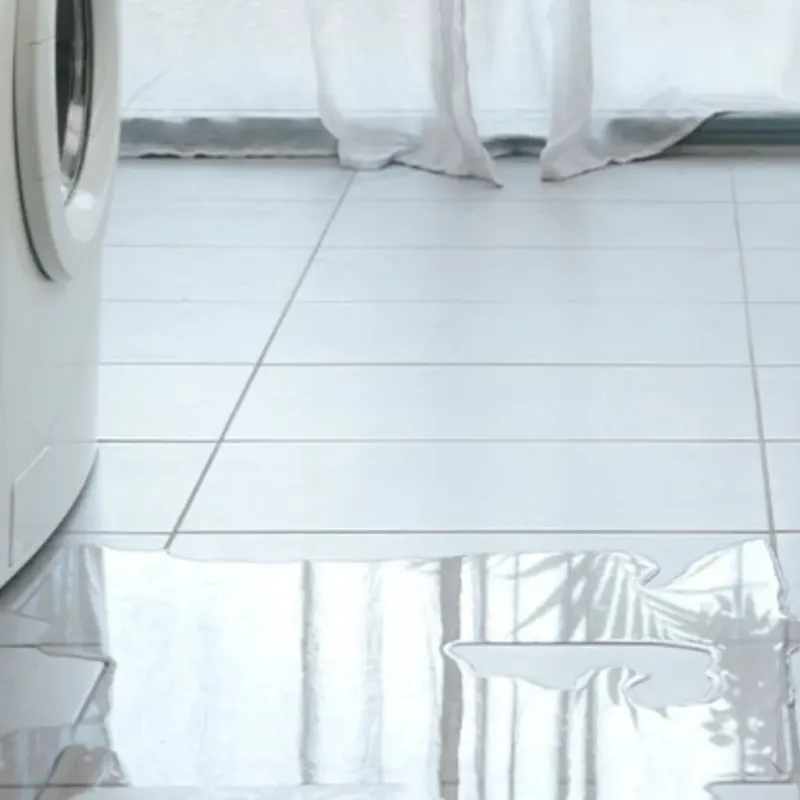 Appliance Leak Cleanup in Saint Tammany Parish, LA