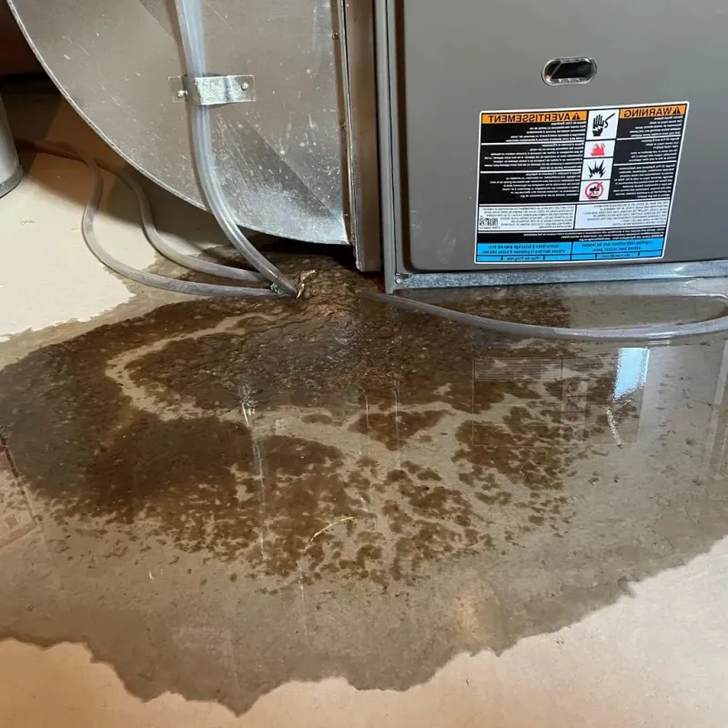 Pipe Burst and Leak Restoration in Saint Tammany Parish, LA